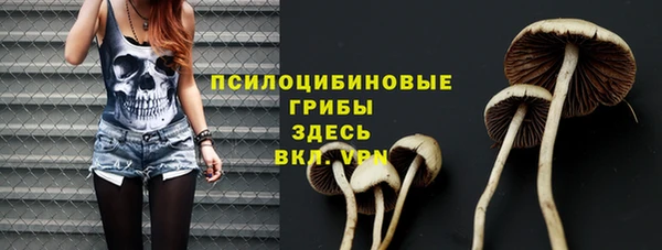 винт Нея