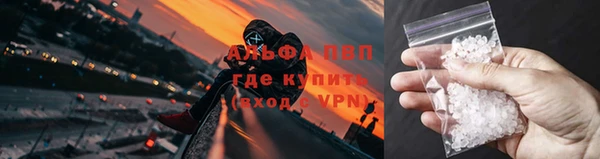 ПСИЛОЦИБИНОВЫЕ ГРИБЫ Лабытнанги